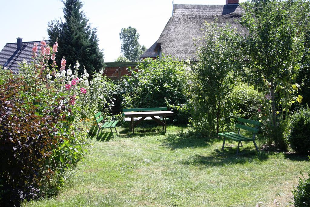 Landhaus Martens Bresewitz Bagian luar foto